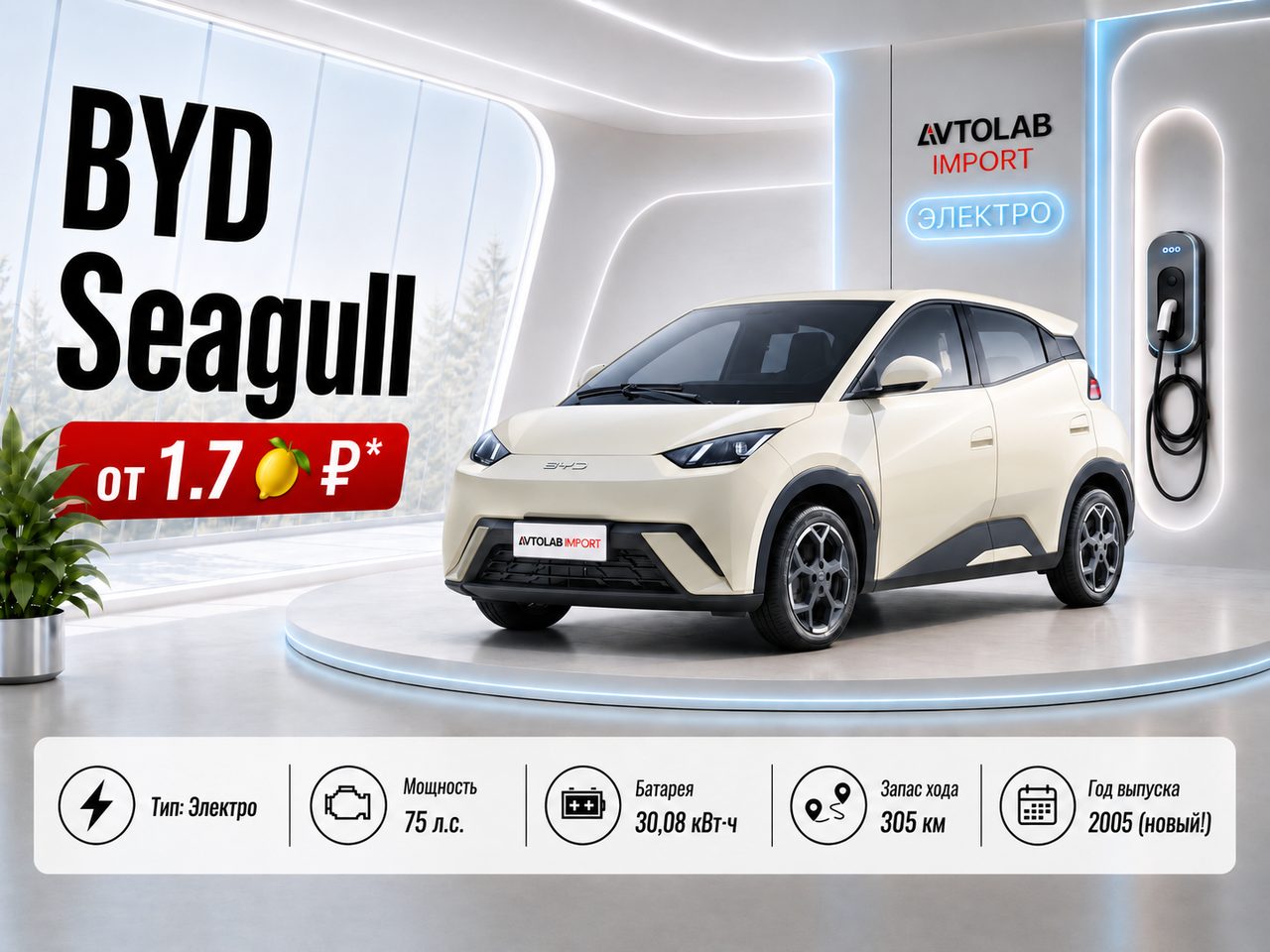 BYD SEAGULL